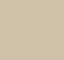 Peinture Tennis Beige