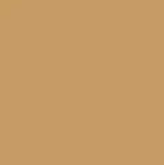 Peinture Tennis Chamois