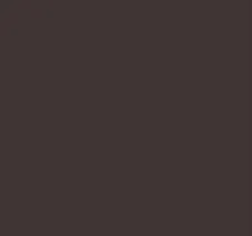 Peinture Tennis Marron