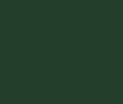 Peinture Tennis Vert Foncé